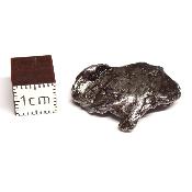Météorite Sidérite Sikhote-Alin 15163