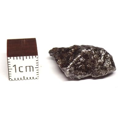 Météorite Sidérite Sikhote-Alin 15167
