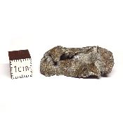 Météorite Sidérite Sikhote-Alin 15172
