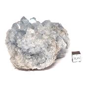 Célestine Pierre brute 15737