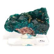 Dioptase Pierre Brute 15786