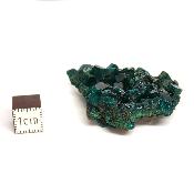 Dioptase Pierre Brute 15826