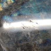 Labradorite Forme Libre 15832