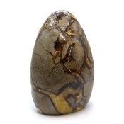 Septaria Forme Libre 20005