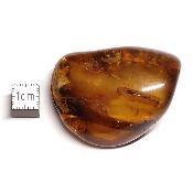Ambre de la Baltique morceau poli 2039