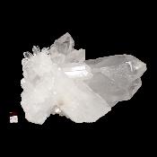 Cristal de Roche Amas 2110