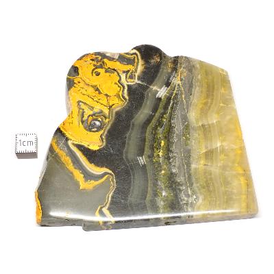 Jaspe Abeille Plaque 2284