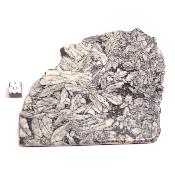 Pinolite Plaque 2332