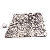 Pinolite Plaque 2334