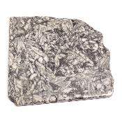 Pinolite Plaque 2338