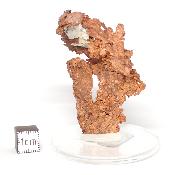 Cuivre Natif pierre brute 2576