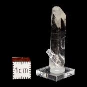 Cristal Lagardette 2949