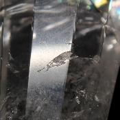 Cristal Vogel 3034