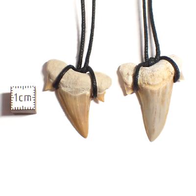 Dent de requin Pendentif