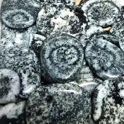 Diorites Orbiculaire Pierre Plate