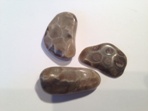 Petoskey Stone