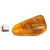 Ambre de la Baltique morceau poli n° 05946