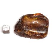 Ambre de la Baltique morceau poli n° 05953