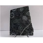 Diorite Orbiculaire Plaque 09491