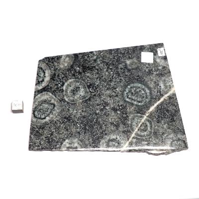 Diorite Orbiculaire Plaque 09491