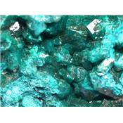 Dioptase Pierre Brute 12842