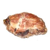 Bois Fossile Plaque 0130