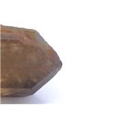 Citrine Naturelle Pointe Brute 13071