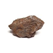 Météorite Sidérite Sikhote-Alin 15182