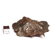 Météorite Sidérite Sikhote-Alin 15183