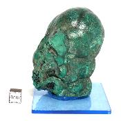 Malachite stalactite Pierre Brute 15265