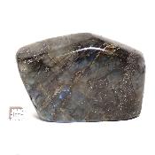 Labradorite Forme Libre 15499
