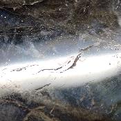 Labradorite Forme Libre 15505