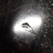 Tourmaline Noire Forme Libre 15694