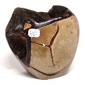 Septaria Forme Libre 15699