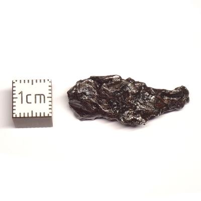 Météorite Sidérite Sikhote-Alin 15996