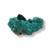 Dioptase Pierre Brute 19359