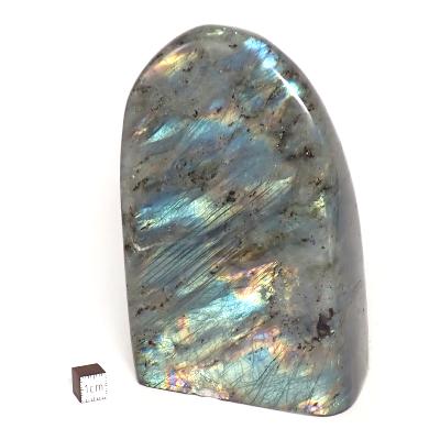 Labradorite Forme Libre 2029