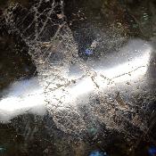 Labradorite Galet 2062