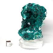 Dioptase Pierre Brute 2324