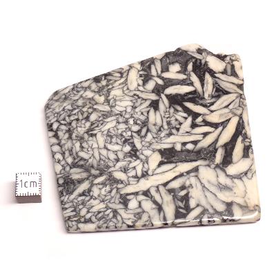 Pinolite Plaque 2333