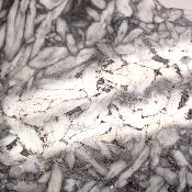 Pinolite Plaque 2335