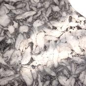 Pinolite Plaque 2335