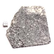 Pinolite Plaque 2337