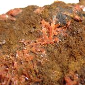 Crocoïte pierre brute 2404