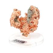 Cuivre Natif pierre brute 2589