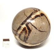 Septaria Boule 2831