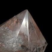 Cristal Vogel 3036
