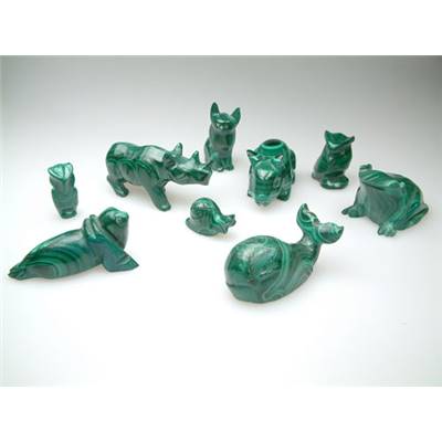 Malachite Animaux