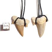 Dent de requin Pendentif