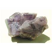Fluorine Amas Brute